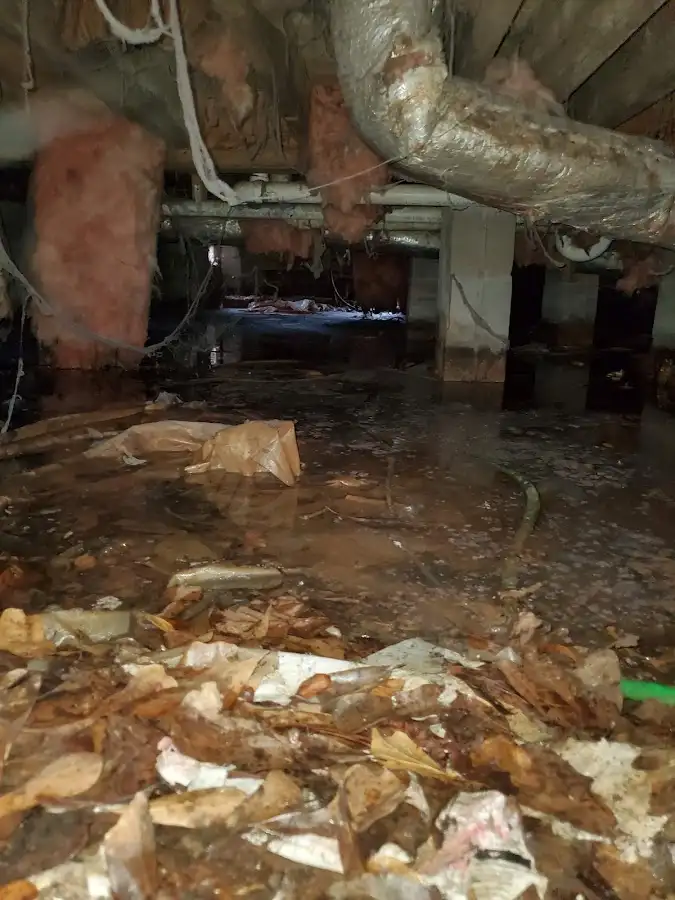 Crawl space flood assessment for Leak Detection & Repair in Vero Lake Estates