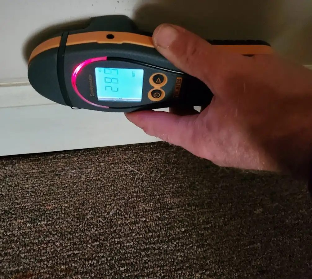 Moisture detection at baseboard during Mold Inspection & Testing in Vero Lake Estates