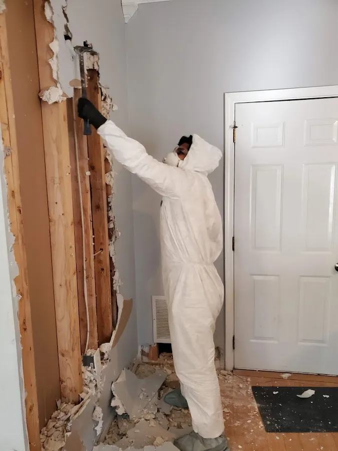Basement Flood Cleanup in Vero Lake Estates, FL